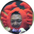 �ڗ�