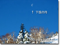 下弦の月