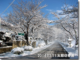 ３月１１日雪景色