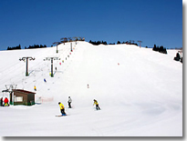 山