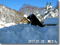 熊さん