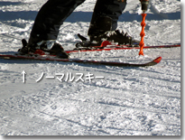 ノーマルスキー