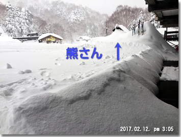 熊さん