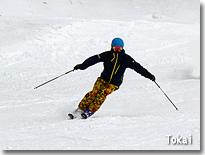 tokai