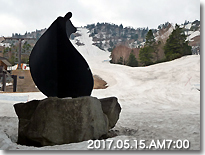熊さん5/15