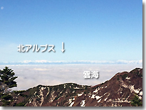 雲海