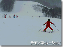 デモンストレーション