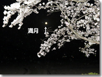 満月