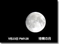 待宵の月