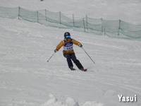 yasui