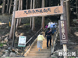 野猿公苑