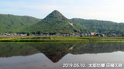 田植え時