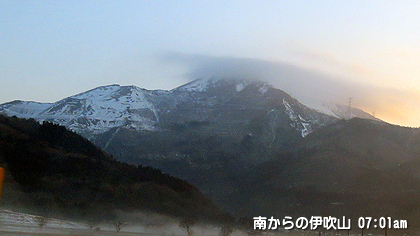 朝