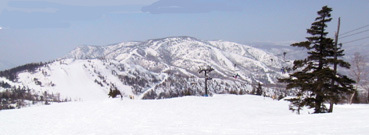 焼額山