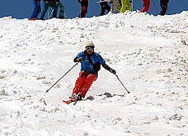syokunin