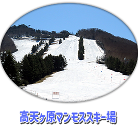 高天ヶ原マンモス