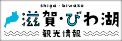 観光情報