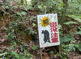 熊